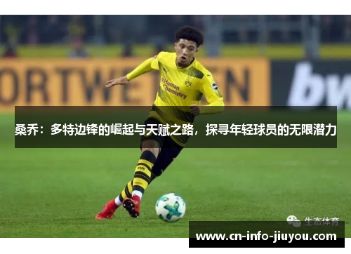 桑乔：多特边锋的崛起与天赋之路，探寻年轻球员的无限潜力