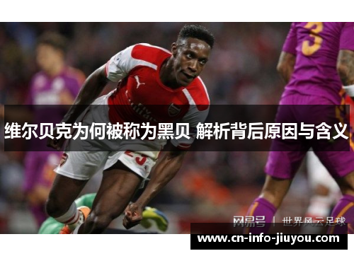 维尔贝克为何被称为黑贝 解析背后原因与含义 维尔贝克为何被称为黑贝 解析背后原因与含义