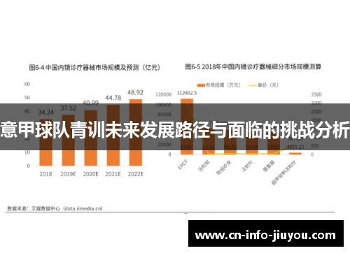 意甲球队青训未来发展路径与面临的挑战分析